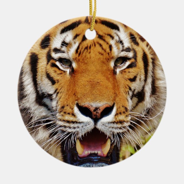 Ornement En Céramique Tigre (Devant)