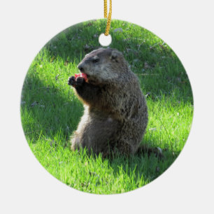 Ornement En Céramique Tomate Groundhog