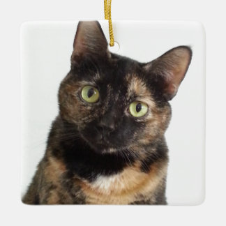 Ornement En Céramique Tortoiseshell