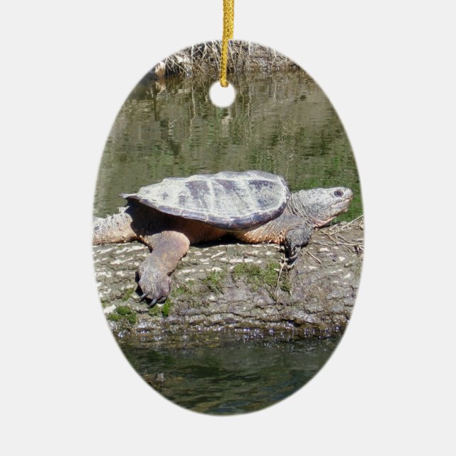 Ornement En Céramique Tortue (Devant)
