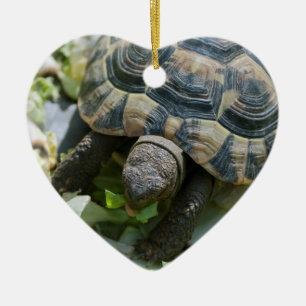 Ornement En Céramique Tortue mignonne