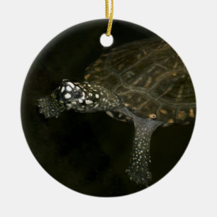 Ornement En Céramique Tortue qui nage