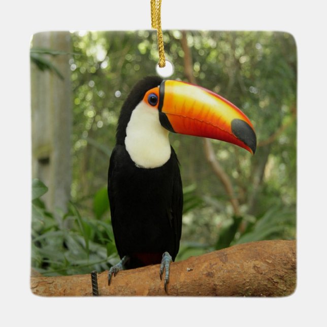 Ornement En Céramique Toucan sur branche d'arbre (Devant)