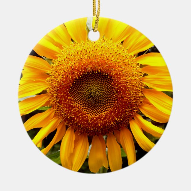 Ornement En Céramique Tournesol (Devant)