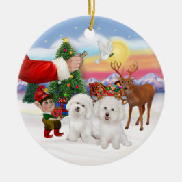 Ornement En Céramique Traitement pour deux Bichon Frise