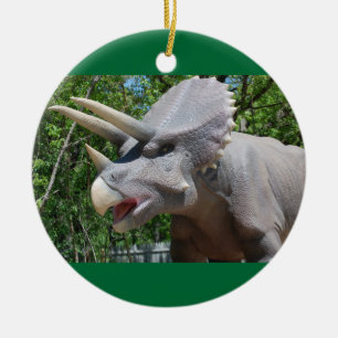 Ornement En Céramique Tricératops Dinosaures