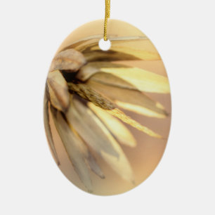 Ornement En Céramique Tulip Poplar Graine vide Pod