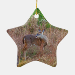 Ornement En Céramique Un cerf dans l'herbe haute