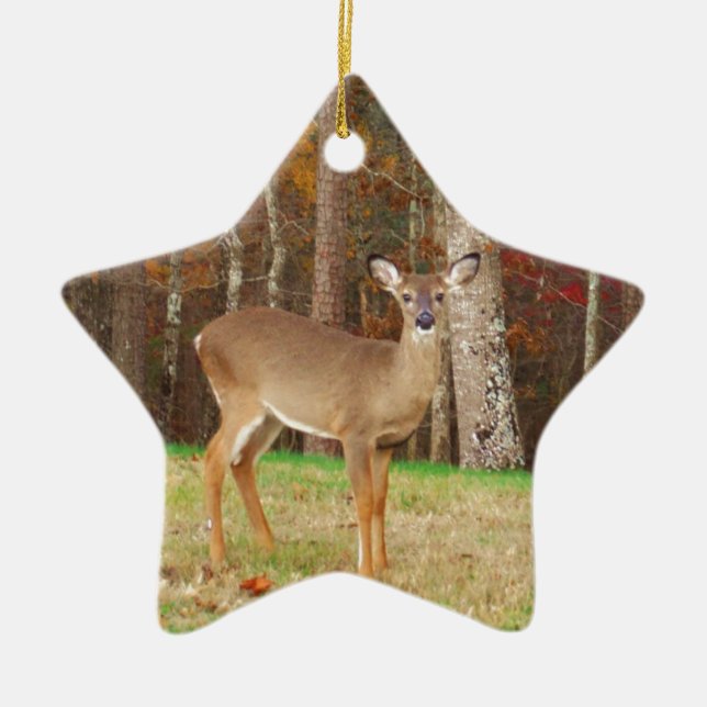 Ornement En Céramique Un cerf de rêve de chasseur (Devant)