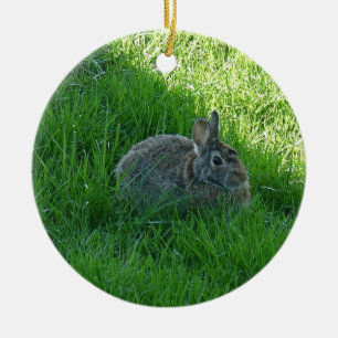 Ornement En Céramique Un lapin ombragé