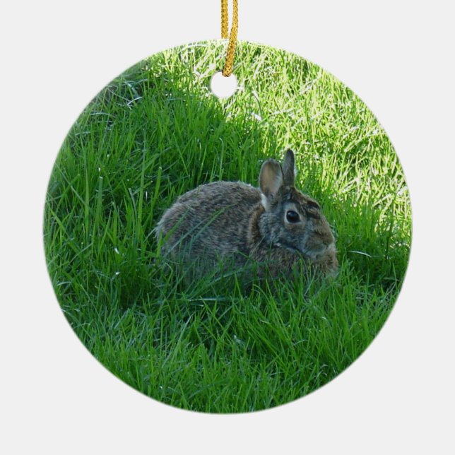 Ornement En Céramique Un lapin ombragé (Devant)