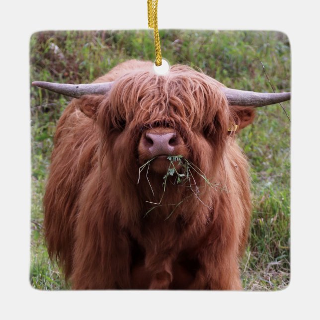 Ornement En Céramique Vache écossaise des Highlands (Devant)