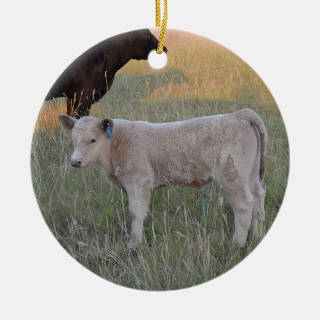 Ornement En Céramique Veau du charolais (Devant)