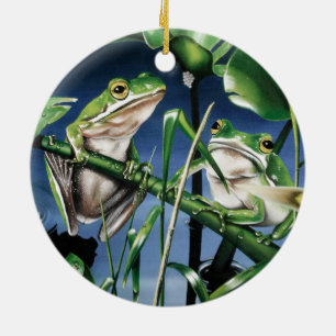 Ornement en céramique vert de grenouille d'arbre