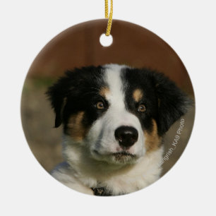 Ornement En Céramique Vieux Headshot de chiot de border collie de 12