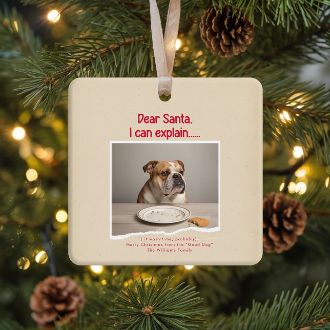 Ornement En Céramique Vinage Funny Dog Pet Photo Christmas Holiday (Créateur téléchargé)