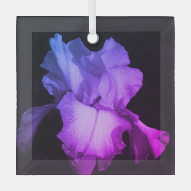 Ornement en céramique violet clair Iris (Recto)