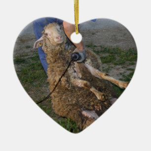 Ornement En Céramique Vis du mouton