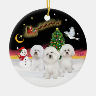Ornement En Céramique Vol de nuit - Trois Bichon Frise