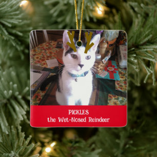 Ornement En Céramique Votre animal domestique Reindeer Noisé Humide Phot