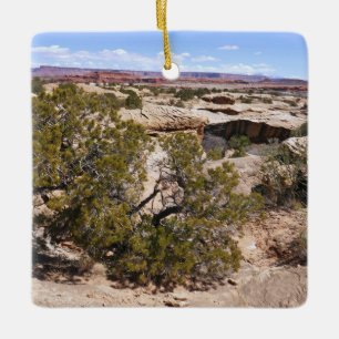 Ornement En Céramique Vue de Canyonlands depuis le sentier Cave Springs