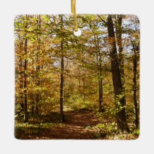 Ornement En Céramique Wolf Rocks Trail en automne Pennsylvanie Paysage