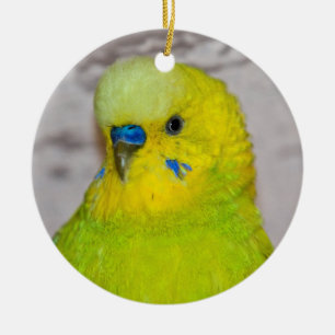 Ornement En Céramique Yellow Budgie Ornament