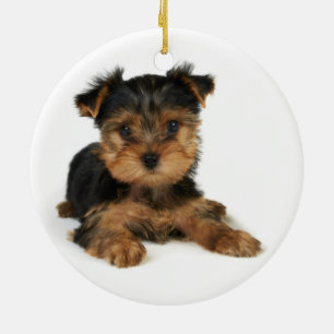 Ornement En Céramique Yorkie gentil