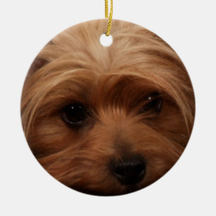 Ornement En Céramique Yorkie ou votre photo de chien
