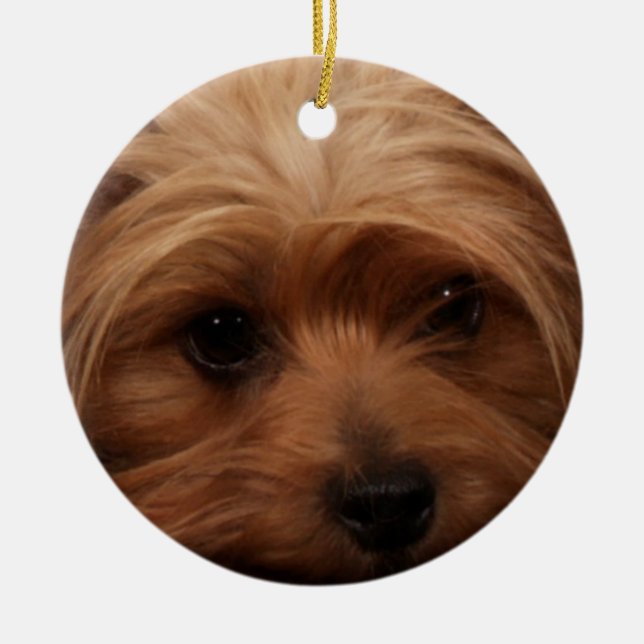 Ornement En Céramique Yorkie ou votre photo de chien (Devant)