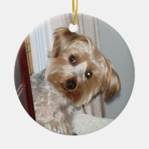 Ornement En Céramique Yorkie Pékin autour du coin