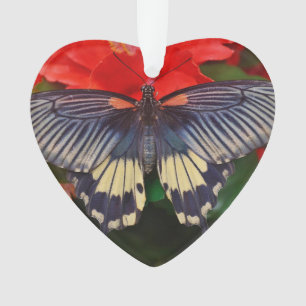 Ornement en forme de coeur de papillon