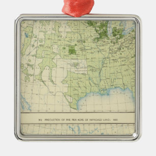 Ornement En Métal 49 Rye 1890