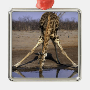 Ornement En Métal Afrique, Botswana, Parc national de Chobe, Girafe