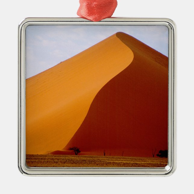 Ornement En Métal Afrique, Namibie, Parc national de Naukluft, 2 (Devant)
