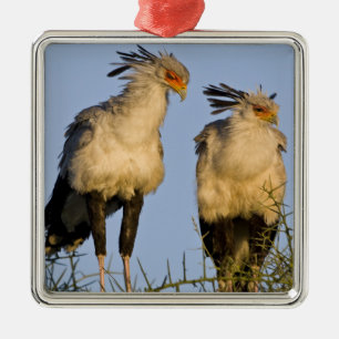 Ornement En Métal Afrique. Tanzanie. Secrétaire Birds à Ndutu