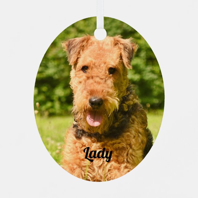 Ornement En Métal Airedale Terrier Chien chiot (Verso)