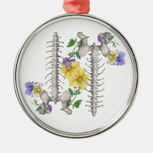 Ornement En Métal Anatomie florale - Vertèbres, os iliaque