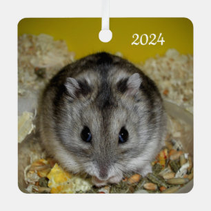 Ornement En Métal Animal de compagnie hamster nain