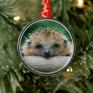 Ornement En Métal Animaux de bébés cutest   Hedgehog Smile