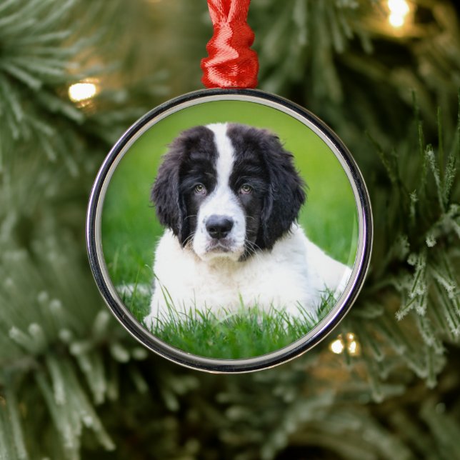 Ornement En Métal Animaux de bébés cutest | Newfoundland Puppy (Arbre)
