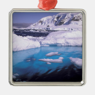 Ornement En Métal Antarctique. Expédition à travers les paysages de