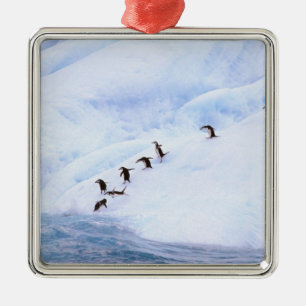 Ornement En Métal Antarctique, péninsule Antarctique. Écran
