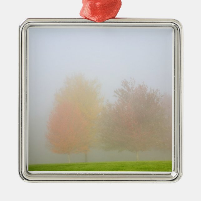 Ornement En Métal Arbres de chute enveloppés en brume (Devant)