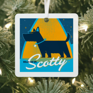 Ornement En Métal Beam Me Up Scotty