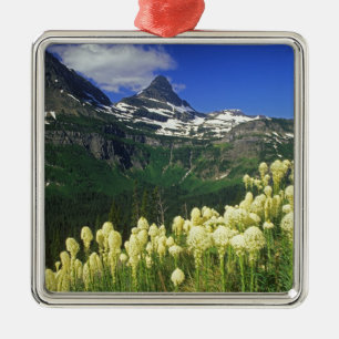 Ornement En Métal Beargrass à Logan Pass dans le parc national de Gl