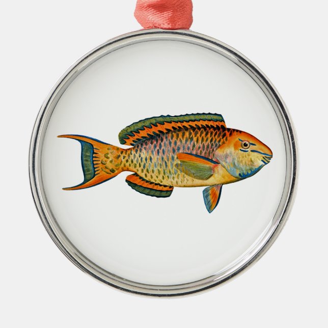 Ornement En Métal Beau poisson hawaïen - poisson perroquet royal (Devant)
