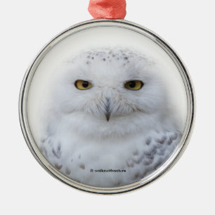 Ornement En Métal Belle, Dreamy et Serene Snowy Owl