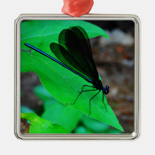 Ornement En Métal Blue Damselfly on a green leaf.