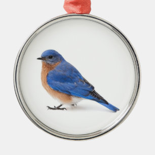 Ornement En Métal Bluebird